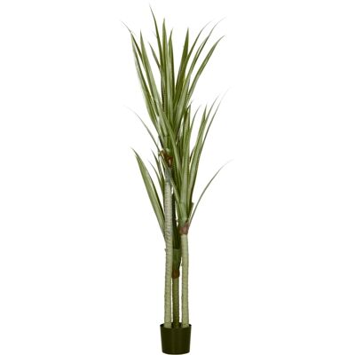 OEM Grand Yucca Artificiel, 190 Cm, En Plastique, En Pot, 17 X 17 X 190 Cm, Vert Émeraude - Publicité OEM Grand Yucca Artificiel, 190 Cm, En Plastique, En Pot, 17 X 17 X 190 Cm, Vert Émeraude - Publicité