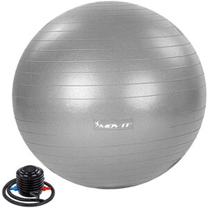 Movit - Balle de gymnastique dynamic ball avec pompe, charge maximale jusqu'à 500kg, anti-éclatement, balle de fitness, balle-siège, balle de yoga, balle Pilates, équilibre, 65 cm, argent - Publicité