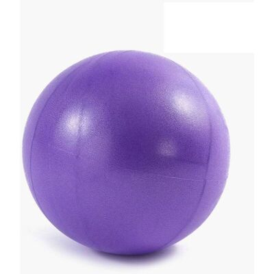 ACKERMAN Yoga Pilates Petite Balle Épaissie Antidéflagrante Fitness Mini 25 Cm Petite Balle Tube De Blé Balle D'Entraînement Sensoriel Pour Enfants - Publicité ACKERMAN Yoga Pilates Petite Balle Épaissie Antidéflagrante Fitness Mini 25 Cm Petite Balle Tube De Blé Balle D'Entraînement Sensoriel Pour Enfants - Publicité