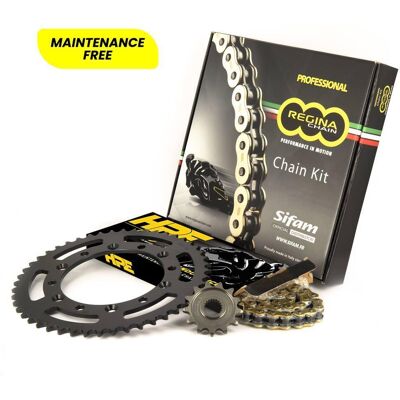 REGINA Kit Chaîne Hpe Compatible Avec La Marque Kawasaki Er-6 650 2006 - 15x46 - 520 Avec Joints Toriques - Publicité REGINA Kit Chaîne Hpe Compatible Avec La Marque Kawasaki Er-6 650 2006 - 15x46 - 520 Avec Joints Toriques - Publicité