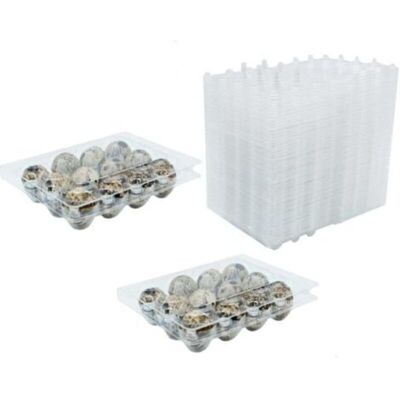 Vision Lot De 50 Boîtes À Œufs De Caille En Pvc Transparent Réutilisable Avec Couvercle Pour Œufs De Caille, Réfrigérateur - Publicité Vision Lot De 50 Boîtes À Œufs De Caille En Pvc Transparent Réutilisable Avec Couvercle Pour Œufs De Caille, Réfrigérateur - Publicité