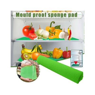 OEM Mousse Anti Moisissure Pour Réfrigérateur – Taille 380 X 300 X 3 Mm – Tapis Antibactérien Et Antidérapant – Découpe Libre(100 Verts) - Publicité OEM Mousse Anti Moisissure Pour Réfrigérateur – Taille 380 X 300 X 3 Mm – Tapis Antibactérien Et Antidérapant – Découpe Libre(100 Verts) - Publicité