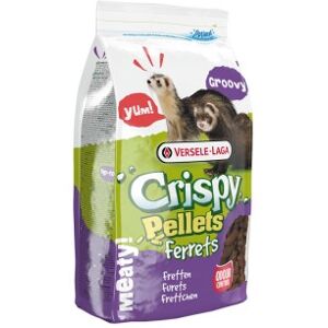 Versale-laga - Crocantes 10kg - Nourriture pour animaux - Publicité Versale-laga - Crocantes 10kg - Nourriture pour animaux - Publicité
