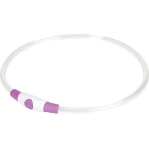 Collier LED AniOne Violet - Accessoire pour chiens - Publicité Collier LED AniOne Violet - Accessoire pour chiens - Publicité