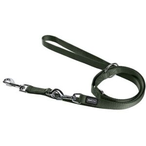 Laisse en nylon AniOne Classic 2 couches vert M - Laisse pour chien - Publicité Laisse en nylon AniOne Classic 2 couches vert M - Laisse pour chien - Publicité
