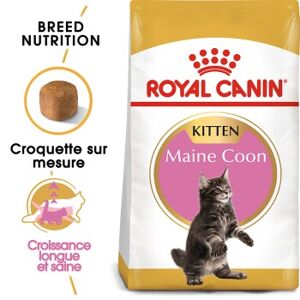 ROYAL CANIN Maine Coon Chaton Croquettes Chat 10 kg - Publicité