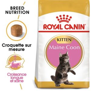 ROYAL CANIN Maine Coon Chaton Croquettes Chat 2 kg - Publicité ROYAL CANIN Maine Coon Chaton Croquettes Chat 2 kg - Publicité