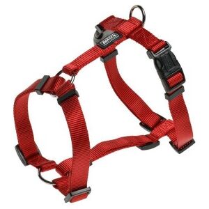 Harnais en nylon rouge AniOne - H - Accessoire pour animaux - Publicité Harnais en nylon rouge AniOne - H - Accessoire pour animaux - Publicité