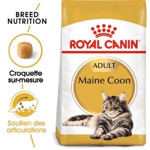 ROYAL CANIN Maine Coon Adulte Croquettes Chat 400 g - Publicité ROYAL CANIN Maine Coon Adulte Croquettes Chat 400 g - Publicité