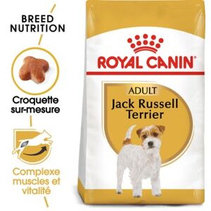 ROYAL CANIN Jack Russell Terrier Adulte Croquettes Chien 1,5 kg - Publicité