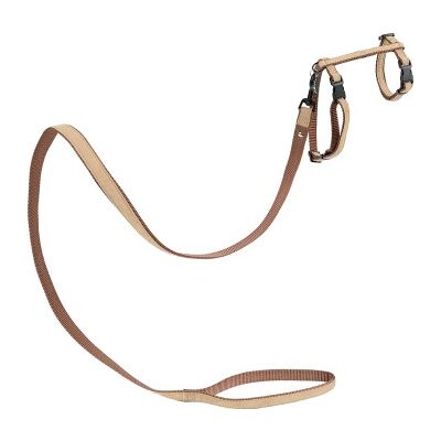 MORE Harnais pour chats - Collier en nylon réglable & laisse - Marron - Harnais pour chats - Publicité MORE Harnais pour chats - Collier en nylon réglable & laisse - Marron - Harnais pour chats - Publicité
