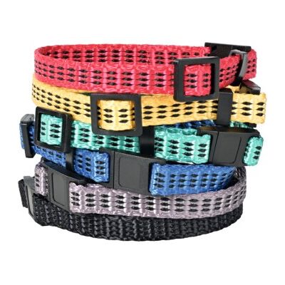 AniOne Ensemble de Colliers S - Set de Colliers pour Chiens - Publicité AniOne Ensemble de Colliers S - Set de Colliers pour Chiens - Publicité