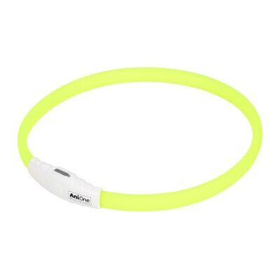 Collier en silicone réfléchissant AniOne - Accessoire de sécurité - Publicité Collier en silicone réfléchissant AniOne - Accessoire de sécurité - Publicité
