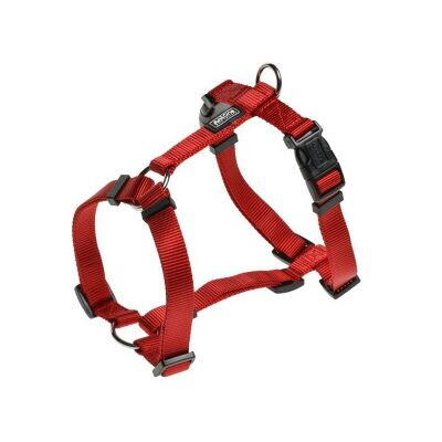 Harnais en nylon rouge AniOne - H - Accessoire pour animaux - Publicité Harnais en nylon rouge AniOne - H - Accessoire pour animaux - Publicité