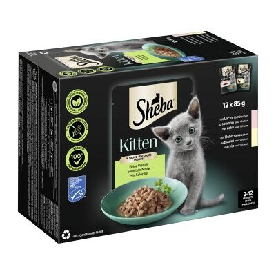 Pack Multipack Sheba Kitten au Saumon et Poulet - Nourriture humide pour chats - Publicité Pack Multipack Sheba Kitten au Saumon et Poulet - Nourriture humide pour chats - Publicité
