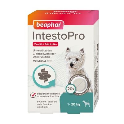 Beaphar IntestoPro - Complément alimentaire pour petits chiens - 20 pcs - Publicité Beaphar IntestoPro - Complément alimentaire pour petits chiens - 20 pcs - Publicité