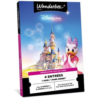 Coffret cadeau Wbx Connect Disneyland Paris en famille 2 Adultes et 2 Enfants - Publicité Coffret cadeau Wbx Connect Disneyland Paris en famille 2 Adultes et 2 Enfants - Publicité