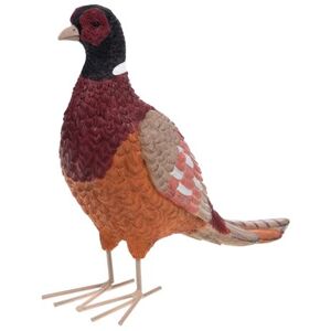 Non communiqué Statue : Faisan coloré 24,5 cm - Amadeus - Multicolore - Résine Multicolore - Publicité Non communiqué Statue : Faisan coloré 24,5 cm - Amadeus - Multicolore - Résine Multicolore - Publicité