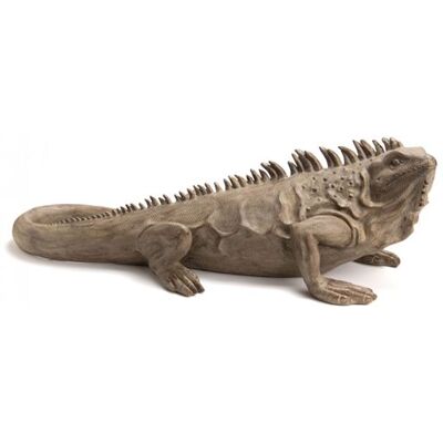 Iguane Beige Amadeus - 95cm - Animal Décoratif - Publicité Iguane Beige Amadeus - 95cm - Animal Décoratif - Publicité
