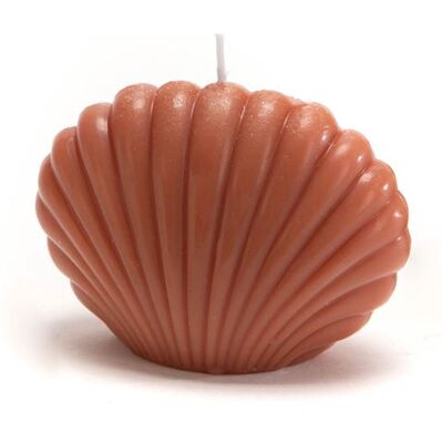 Non communiqué Bougie coquillage Terra (lot de 8) - Amadeus - Orange - Cire Orange - Publicité Non communiqué Bougie coquillage Terra (lot de 8) - Amadeus - Orange - Cire Orange - Publicité