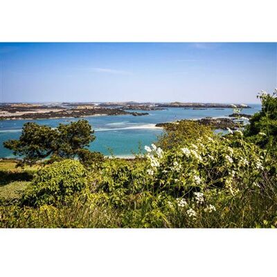 Non communiqué Tableau sur toile vue île de Chausey 65x97 cm CEANOTHE Décoration Murale Art Décoratif Muraux Peinture Imprimée en HD Salon Chambre Bureau Fabriqué en France Vert - Publicité Non communiqué Tableau sur toile vue île de Chausey 65x97 cm CEANOTHE Décoration Murale Art Décoratif Muraux Peinture Imprimée en HD Salon Chambre Bureau Fabriqué en France Vert - Publicité