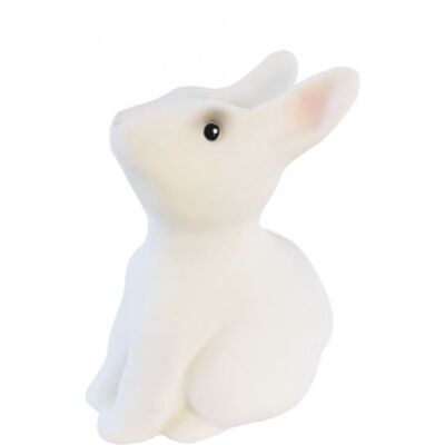 Non communiqué Tirelire - Lapin blanc Egmont Toys Blanc - Publicité Non communiqué Tirelire - Lapin blanc Egmont Toys Blanc - Publicité