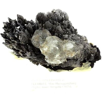 Non communiqué LOLLINGITE + FLUORITE - Pierre Naturelle en Provenance de Chine, Huanggang Fe-Sn Deposit - Cristal de Lollingite et Fluorite, Collection Minérale 4000.0 ct - Certificat d'Authenticité Inclus 110 x 63 x 62 mm - Publicité Non communiqué LOLLINGITE + FLUORITE - Pierre Naturelle en Provenance de Chine, Huanggang Fe-Sn Deposit - Cristal de Lollingite et Fluorite, Collection Minérale 4000.0 ct - Certificat d'Authenticité Inclus 110 x 63 x 62 mm - Publicité