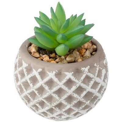 Non communiqué Atmosphera pot de ciment succulent - Publicité Non communiqué Atmosphera pot de ciment succulent - Publicité