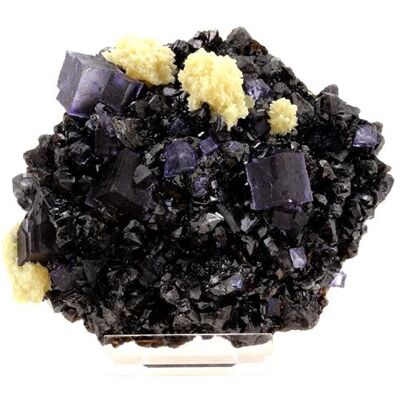 TRENDYFLAIR Fluorite - Minéral Naturel du Tennessee - Propriétés Curatives & Énergie - Publicité TRENDYFLAIR Fluorite - Minéral Naturel du Tennessee - Propriétés Curatives & Énergie - Publicité