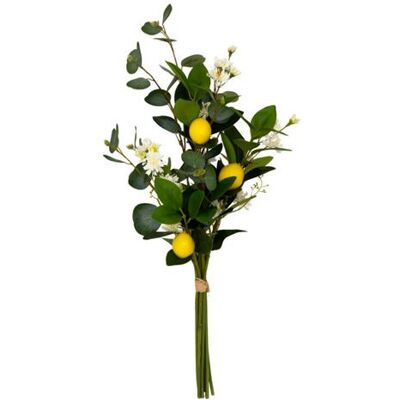 Non communiqué Atmosphera Créateur d'intérieur - Bouquet Artificiel Citrons "Gilda" 64cm Multicolore Multicolore - Publicité Non communiqué Atmosphera Créateur d'intérieur - Bouquet Artificiel Citrons "Gilda" 64cm Multicolore Multicolore - Publicité