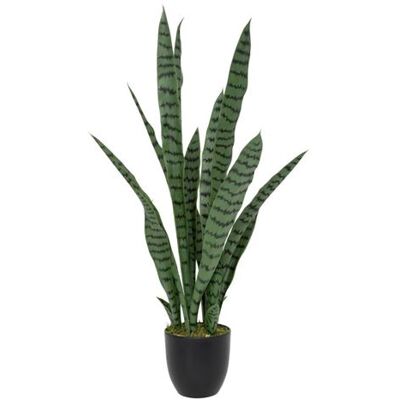 Non communiqué Atmosphera Créateur d'intérieur - Plante Artificielle Sansevieria "Toby" 90cm Vert Vert - Publicité Non communiqué Atmosphera Créateur d'intérieur - Plante Artificielle Sansevieria "Toby" 90cm Vert Vert - Publicité