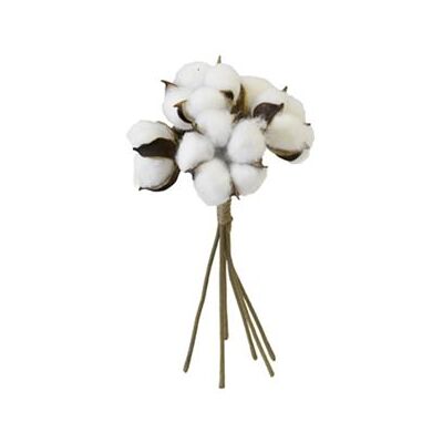 Non communiqué bouquet fleurs de coton 6 têtes 24cm blanc - hobi fbo3006b Blanc - Publicité Non communiqué bouquet fleurs de coton 6 têtes 24cm blanc - hobi fbo3006b Blanc - Publicité