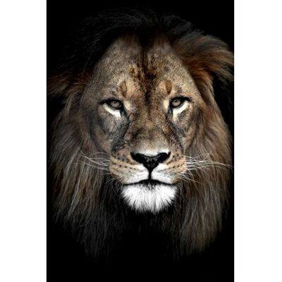 Artis Tableau sur toile lion dans l'ombre 30x45 cm CEANOTHE Décoration Murale Art Décoratif Muraux Peinture Imprimée en HD Salon Chambre Bureau Fabriqué en France Marron - Publicité Artis Tableau sur toile lion dans l'ombre 30x45 cm CEANOTHE Décoration Murale Art Décoratif Muraux Peinture Imprimée en HD Salon Chambre Bureau Fabriqué en France Marron - Publicité