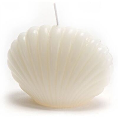 Amadeus - Coquillage Crème - Coquillage - Blanc - Bougie - Publicité Amadeus - Coquillage Crème - Coquillage - Blanc - Bougie - Publicité