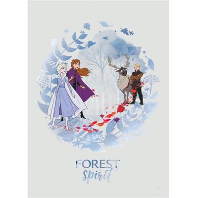 KOMAR Poster Disney La Reine des Neiges 2 - Esprit de la forêt 30 cm x 40 cm Multicolors - Publicité KOMAR Poster Disney La Reine des Neiges 2 - Esprit de la forêt 30 cm x 40 cm Multicolors - Publicité