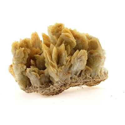 Non communiqué BARYTE - Pierre Naturelle en Provenance du Congo, Kambove - Cristal Multicolore Rare et Authentique 3720.1 ct - Certificat d'Authenticité Inclus 130 x 96 x 86 mm Multicolore - Publicité Non communiqué BARYTE - Pierre Naturelle en Provenance du Congo, Kambove - Cristal Multicolore Rare et Authentique 3720.1 ct - Certificat d'Authenticité Inclus 130 x 96 x 86 mm Multicolore - Publicité
