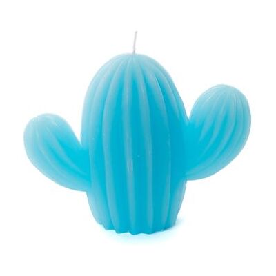 Bougies Cactus Bleues - Lot de 6 - 18h d'autonomie - Publicité Bougies Cactus Bleues - Lot de 6 - 18h d'autonomie - Publicité