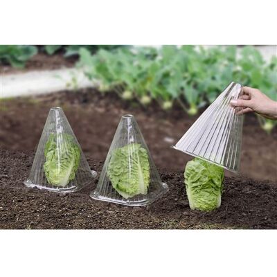 Wenko - 6 Housses pour plants Incolore - Publicité Wenko - 6 Housses pour plants Incolore - Publicité