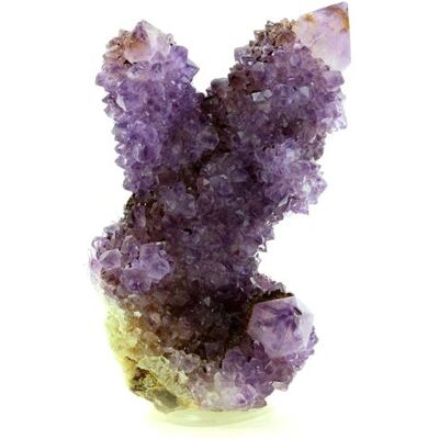 Non communiqué AMÉTHYSTE - Pierre Naturelle en Provenance d'Afrique du Sud, Boekenhoutshoek - Cristal de guérison et de protection - 697.4 ct - Certificat d'Authenticité Inclus 85 x 52 x 36 mm - Publicité Non communiqué AMÉTHYSTE - Pierre Naturelle en Provenance d'Afrique du Sud, Boekenhoutshoek - Cristal de guérison et de protection - 697.4 ct - Certificat d'Authenticité Inclus 85 x 52 x 36 mm - Publicité