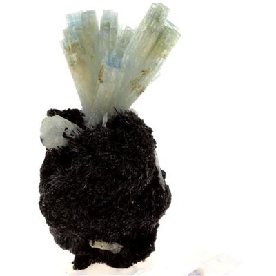 Non communiqué AIGUE-MARINE + TOURMALINE SCHÖRL en provenance de NAMIBIE, Usakos - Pierre Naturelle de Collection, Cristal Multicolore Rare 327.3 ct - Certificat d'Authenticité Inclus 53 x 28 x 26 mm Multicolore - Publicité Non communiqué AIGUE-MARINE + TOURMALINE SCHÖRL en provenance de NAMIBIE, Usakos - Pierre Naturelle de Collection, Cristal Multicolore Rare 327.3 ct - Certificat d'Authenticité Inclus 53 x 28 x 26 mm Multicolore - Publicité