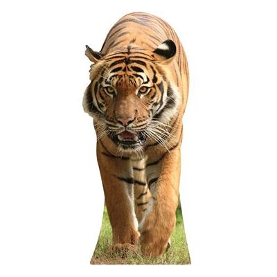 Iconicgreats Tigre Découpe en carton grandeur nature - Fête - Publicité Iconicgreats Tigre Découpe en carton grandeur nature - Fête - Publicité