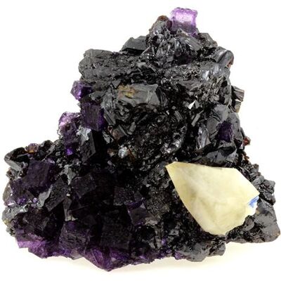 Non communiqué FLUORITE - Pierre Naturelle en Provenance des USA, Elmwood mine, Carthage - Cristal de Fluorite aux couleurs vives, propriétés de guérison - 5509.0 ct - Certificat d'Authenticité Inclus 120 x 100 x 50 mm - Publicité Non communiqué FLUORITE - Pierre Naturelle en Provenance des USA, Elmwood mine, Carthage - Cristal de Fluorite aux couleurs vives, propriétés de guérison - 5509.0 ct - Certificat d'Authenticité Inclus 120 x 100 x 50 mm - Publicité
