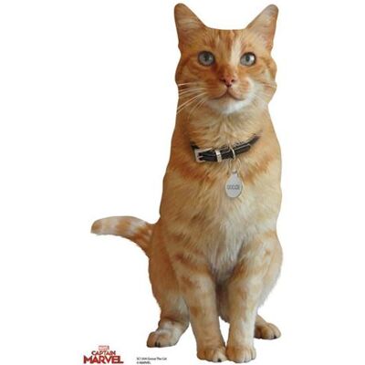 Générique STAR CUTOUTS Figurine en carton Goose le chat de Captain Marvel H 40 CM Multicolors - Publicité Générique STAR CUTOUTS Figurine en carton Goose le chat de Captain Marvel H 40 CM Multicolors - Publicité