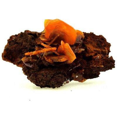 Non communiqué WULFENITE - Pierre Naturelle en Provenance du Mexique, San Francisco Mine, Cucurpe, Sonora Cristal Jaune Vif, Puissant et Rare 334.0 ct - Certificat d'Authenticité Inclus 75 x 50 x 30 mm Jaune - Publicité Non communiqué WULFENITE - Pierre Naturelle en Provenance du Mexique, San Francisco Mine, Cucurpe, Sonora Cristal Jaune Vif, Puissant et Rare 334.0 ct - Certificat d'Authenticité Inclus 75 x 50 x 30 mm Jaune - Publicité