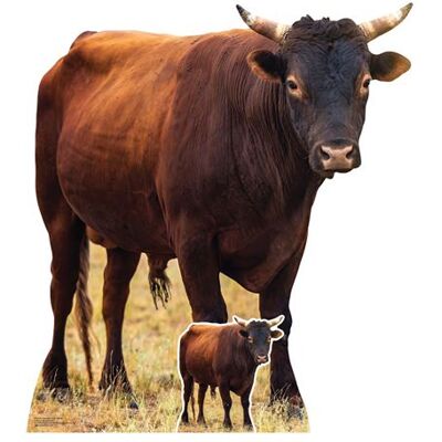 Iconicgreats - Young Bull Farmyard Lifesize - 100 cm tall - Silhouette en carton - Publicité Iconicgreats - Young Bull Farmyard Lifesize - 100 cm tall - Silhouette en carton - Publicité