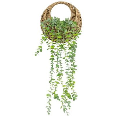 Non communiqué Atmosphera - Eucalyptus à suspendre avec pot naturel - H. 70 cm Vert - Publicité Non communiqué Atmosphera - Eucalyptus à suspendre avec pot naturel - H. 70 cm Vert - Publicité