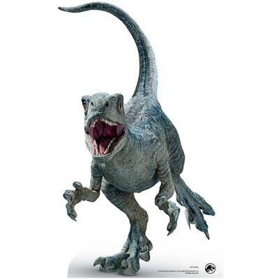 Non communiqué STAR CUTOUTS Figurine en carton Beta Baby - Jurassic World Dominion - Haut 94 cm Multicolors - Publicité Non communiqué STAR CUTOUTS Figurine en carton Beta Baby - Jurassic World Dominion - Haut 94 cm Multicolors - Publicité