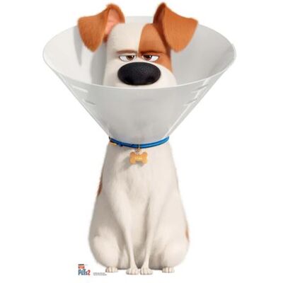Générique STAR CUTOUTS Figurine en carton Max avec collerette Comme des bêtes Hauteur 92 CM Blanc - Publicité Générique STAR CUTOUTS Figurine en carton Max avec collerette Comme des bêtes Hauteur 92 CM Blanc - Publicité