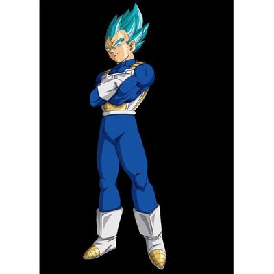 Non communiqué Fabulous Poster Dragon ball super vegeta cheveux bleus (30x45cm) - Publicité Non communiqué Fabulous Poster Dragon ball super vegeta cheveux bleus (30x45cm) - Publicité