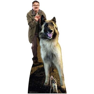 Non communiqué STAR CUTOUTS Figurine en carton Mark Heap acteur serie Friday Night Dinner Hauteur 194 cm Multicolors - Publicité Non communiqué STAR CUTOUTS Figurine en carton Mark Heap acteur serie Friday Night Dinner Hauteur 194 cm Multicolors - Publicité